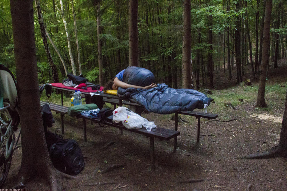 ﻿Pfadfinderhäuschen. Da es schnell dunkel wird, campieren wir bei einer Blockhütte im Wald.