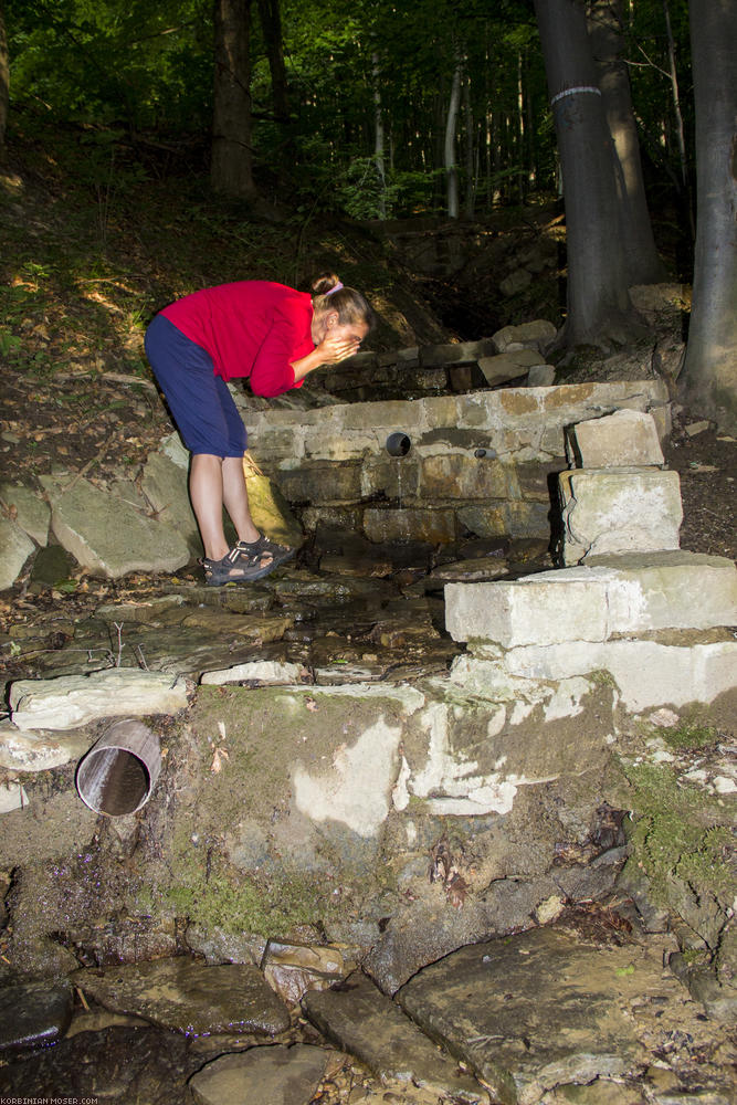 ﻿Pfadfinderhäuschen. Da es schnell dunkel wird, campieren wir bei einer Blockhütte im Wald.