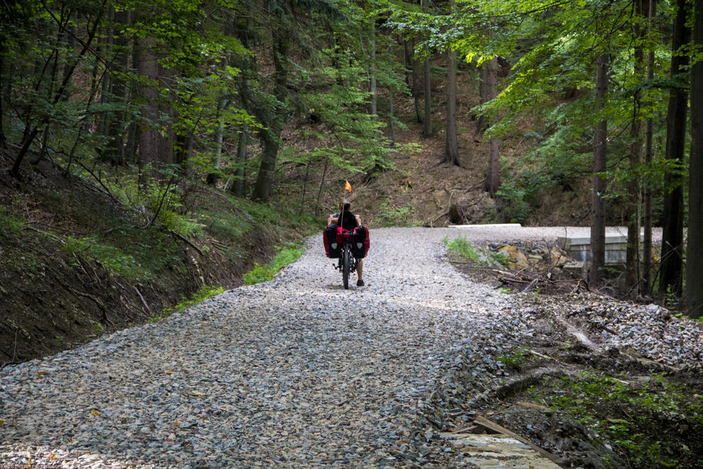 ﻿Full Suspension! Ohne wären solche Wege die Liegeradler-Hölle. Wie man sieht, könnte Judit außerdem noch ein großes Vorderrad gebrauchen, so wie Korbinian, der hier ziemlich problemlos drüberrollt.