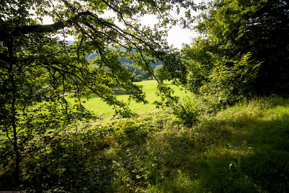 ﻿Taunus. Hofheim, Eppstein, Idstein und die Platte.