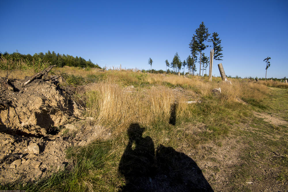 ﻿Taunus. Hofheim, Eppstein, Idstein und die Platte.