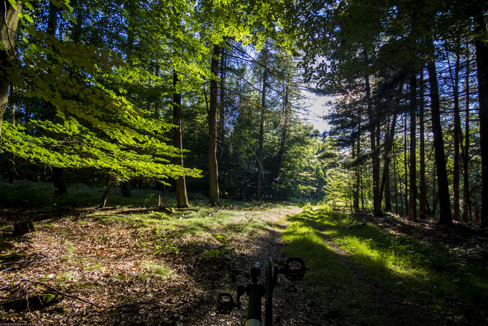 ﻿Taunus. Hofheim, Eppstein, Idstein und die Platte.