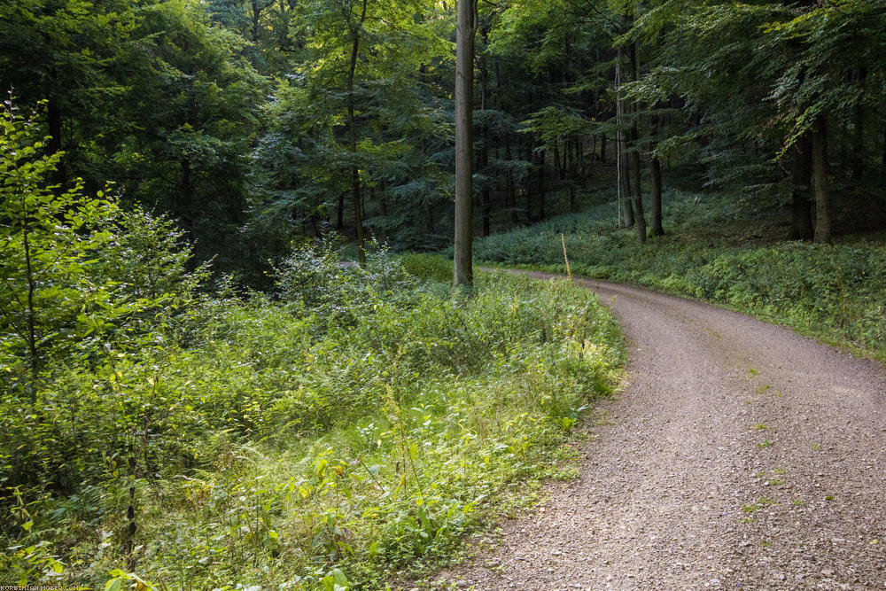 ﻿Taunus. Hofheim, Eppstein, Idstein und die Platte.