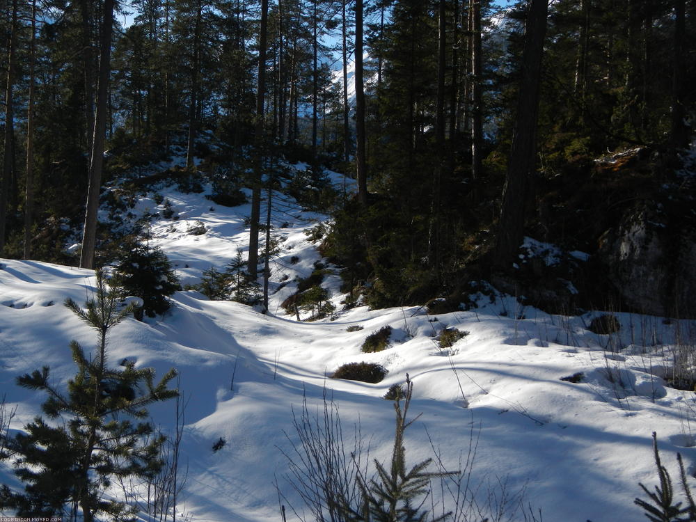 ﻿Winter. An den schattigen Stellen liegt noch Tiefschnee.