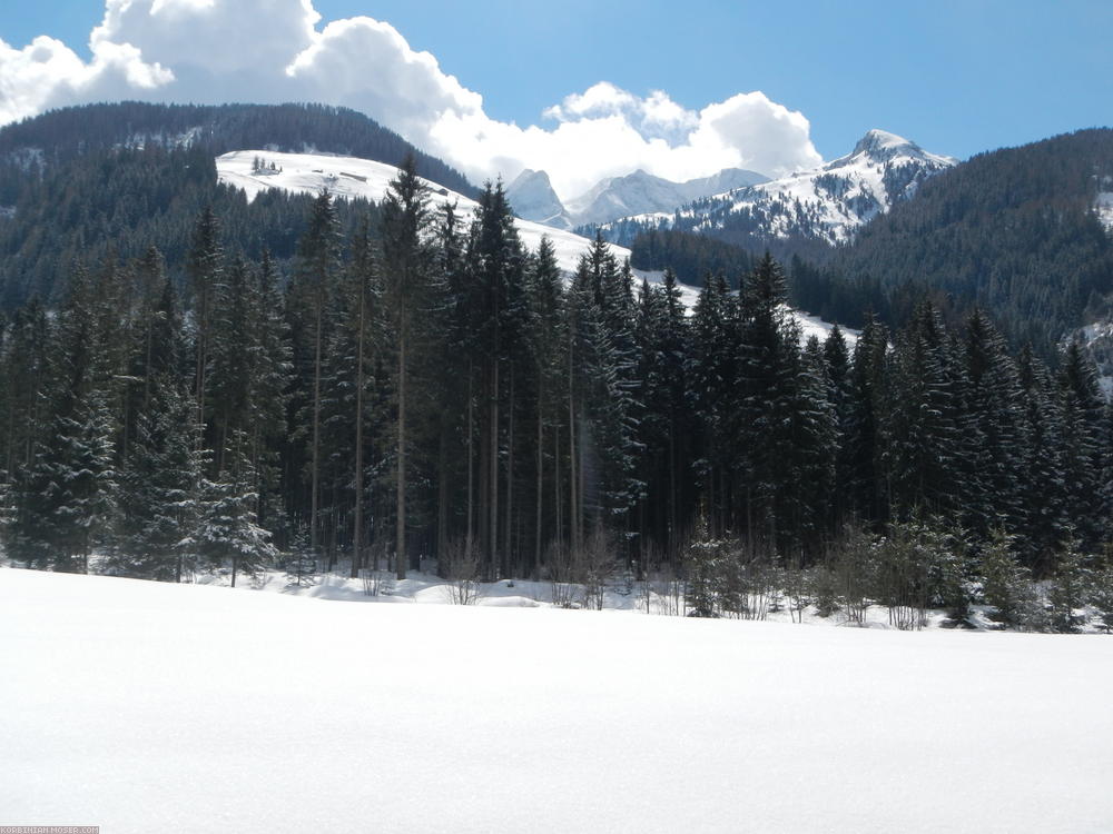 ﻿Die Schneegrenze habe ich schon sehr bald überschritten.