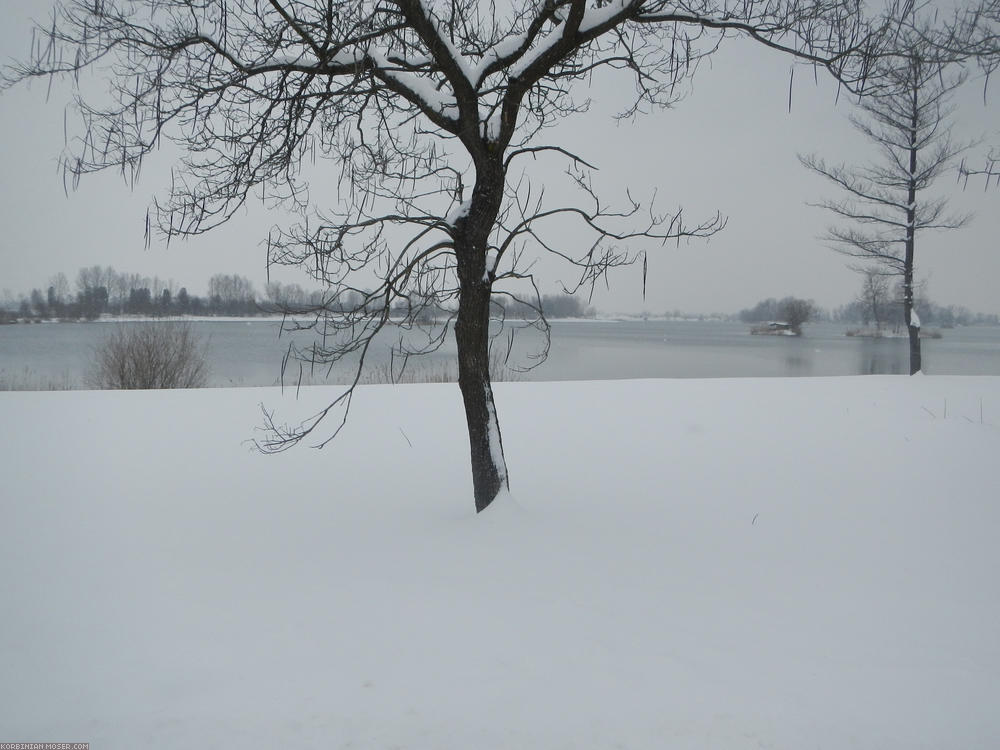 ﻿Alpen Winter Tour. Drei Pässe und Schneegestöber, März 2013