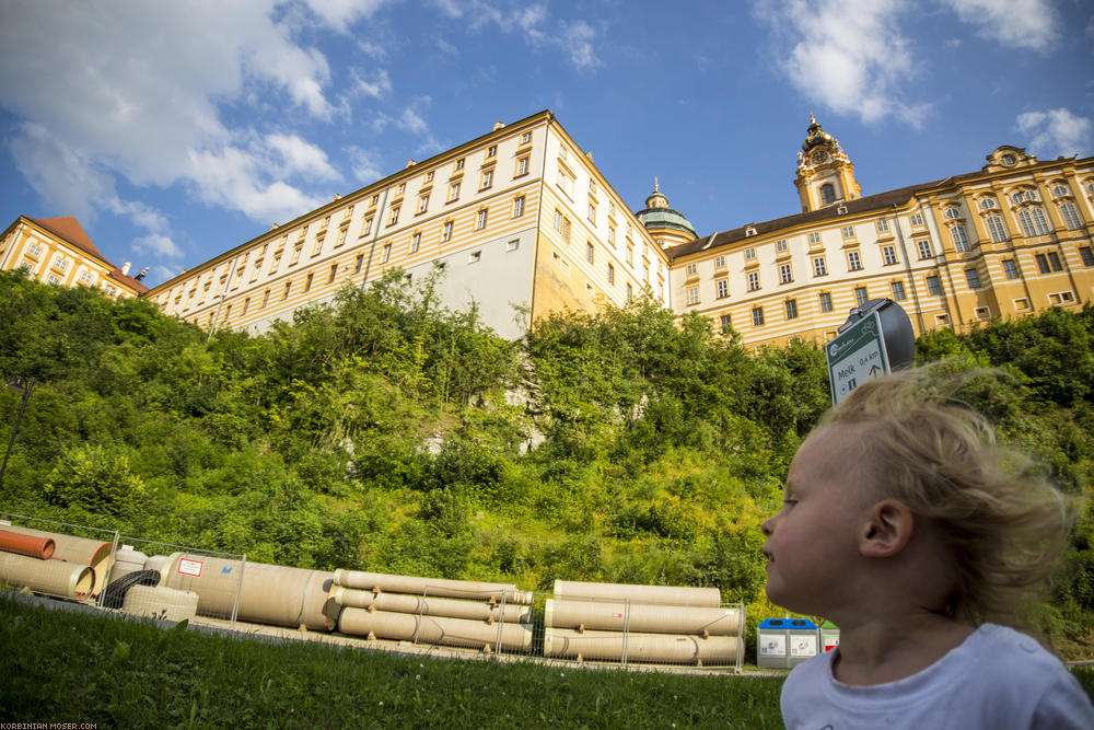 ﻿Mona rennt. Im Hintergrund Stift Melk.