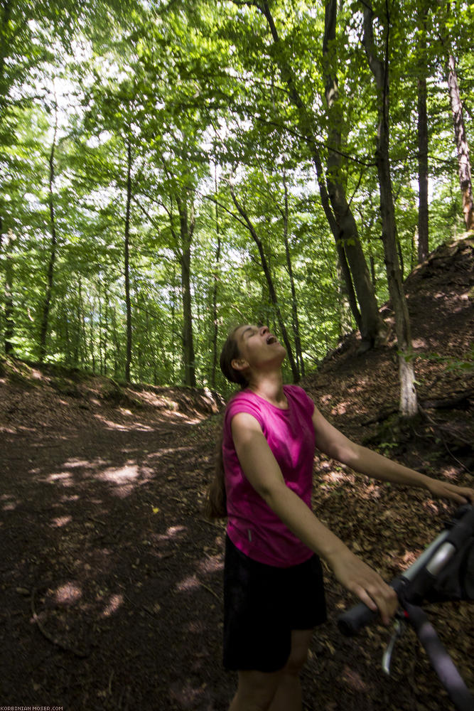 ﻿Anstrengend. So ein Wanderweg geht irgendwie die meiste Zeit steil bergauf.