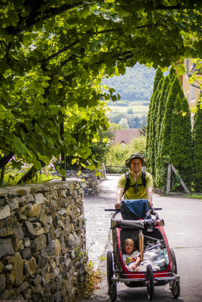 ﻿Hoch gehts in die Weinberge.