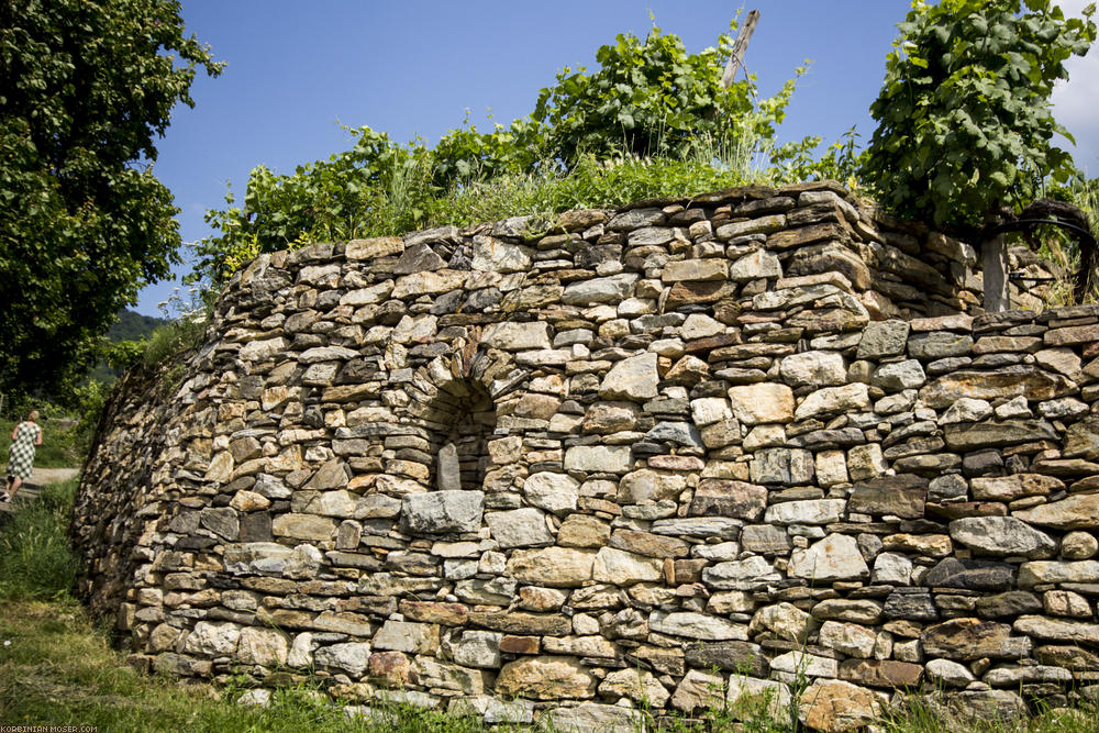 ﻿Hoch gehts in die Weinberge.