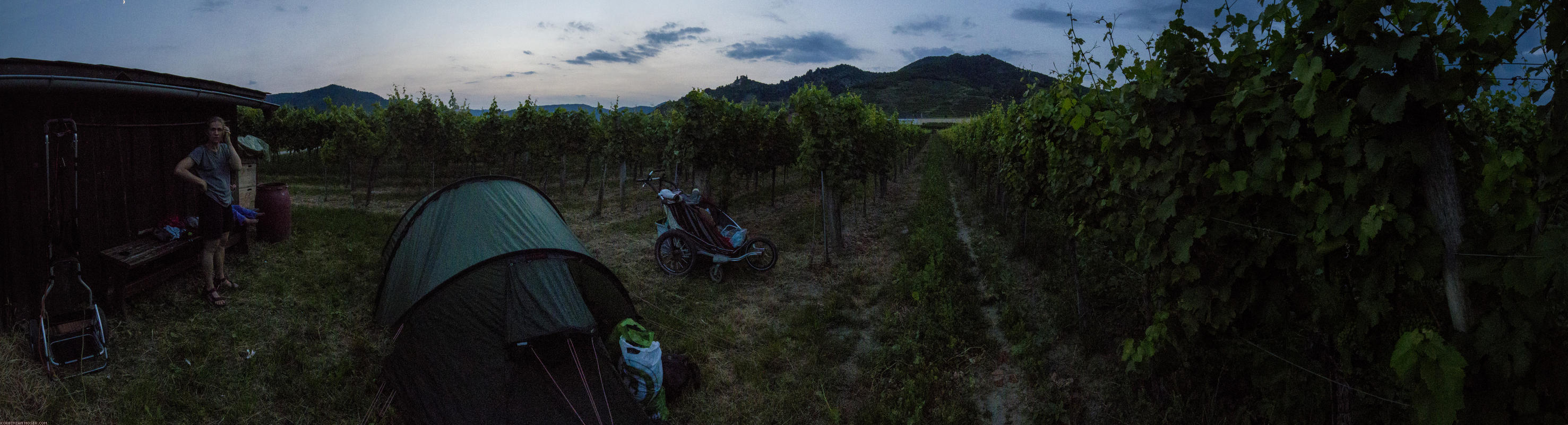 ﻿Der erstbeste Weinberg hinter Dürnstein wird unser Schlafplatz. Viele Schnaken hier.