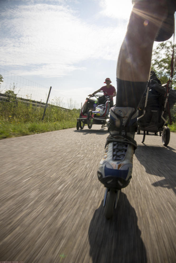 ﻿Es rollt. Da sich gezeigt hat, dass Mona immer noch sehr gerne im Chariot sitzt, erfüllten wir in Krems unseren Wunsch nach mehr Geschwindigkeit durch Kauf von Inline-Skates.