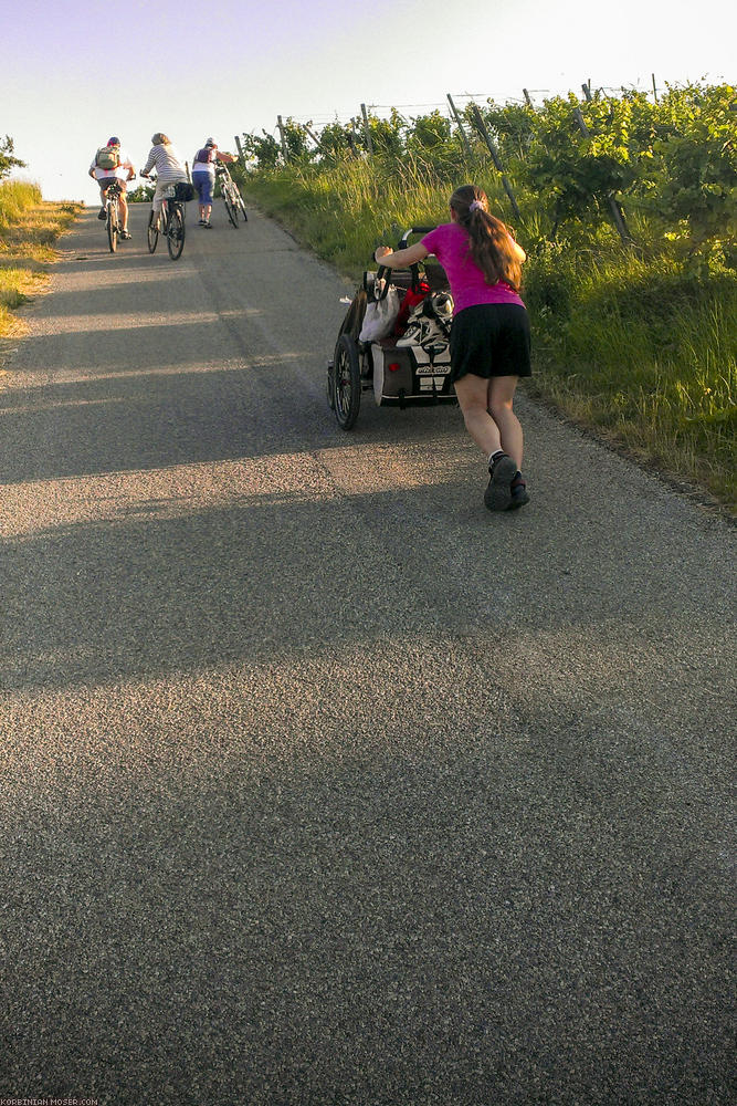 ﻿Cut. Eurovelo 9. In Tulln haben wir den Zug Richtung Ungarn genommen. Uns hat alles weh getan, vom untrainiert-Wanderskaten. Wir konnten es dann aber doch nicht lassen, und sind in Wien Mödling wieder ausgestiegen, um noch ein paar Kilometer am Wiener Neustädter Kanal entlang zu skaten.