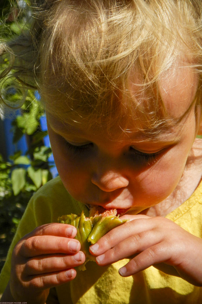 ﻿Lecker Feigen.