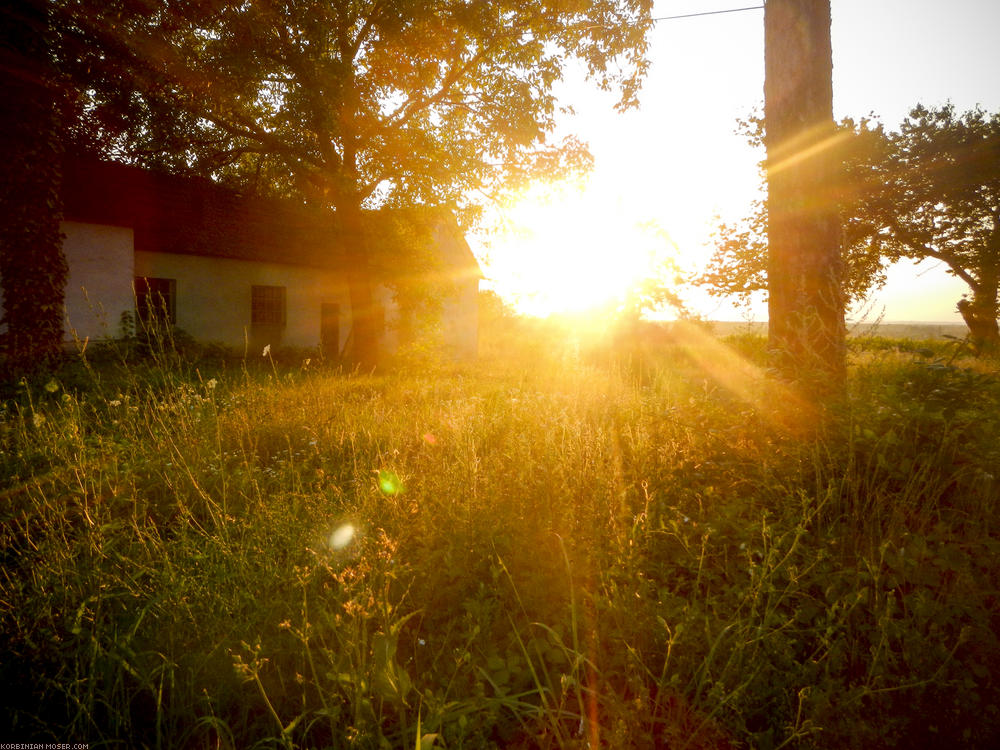 ﻿Goldene Abendsonne.