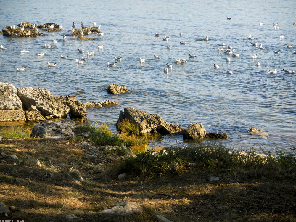 ﻿Solo-Tour. Korbinian radelt an der Küste entlang von Pula nach Novigrad.