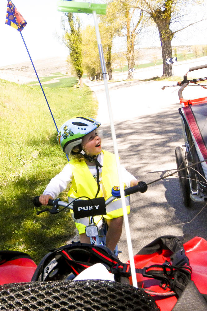 ﻿Auch Mona genießt den Fahrtwind...