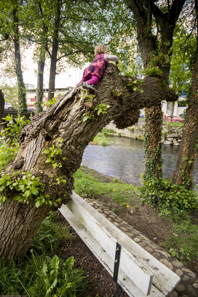 ﻿Mittagspause in Sarria. Mona entdeckt, dass man auch ohne Spielplatz Spaß haben kann.