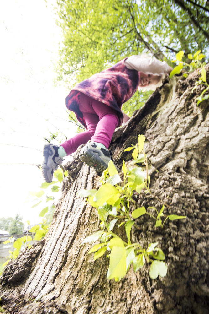 ﻿Mittagspause in Sarria. Mona entdeckt, dass man auch ohne Spielplatz Spaß haben kann.