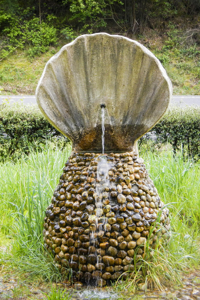 ﻿Jakobsmuscheln überall.