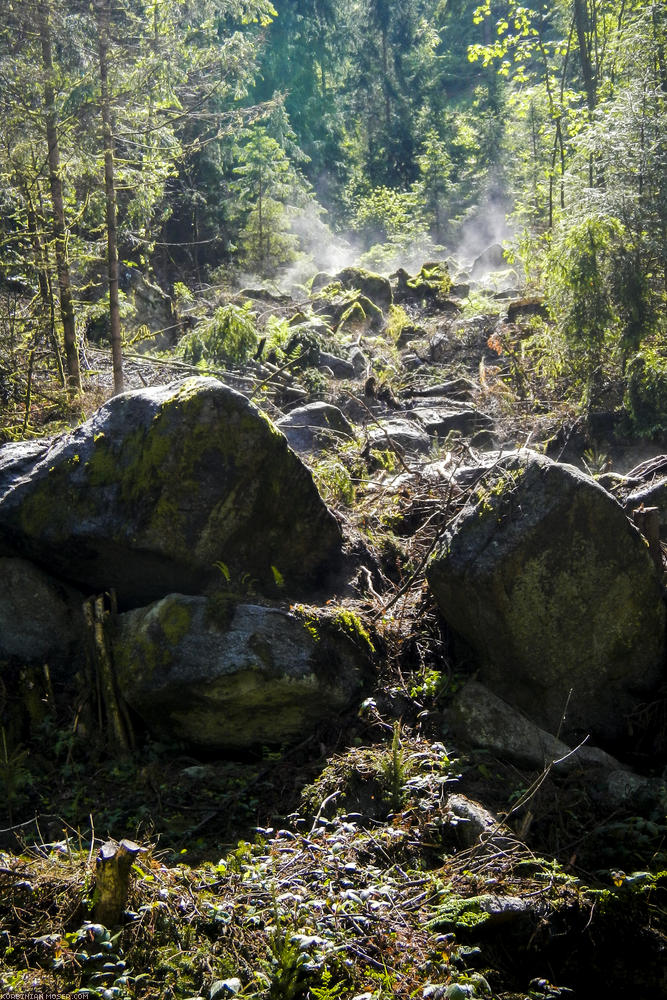 ﻿Die Natur trocknet mit uns.