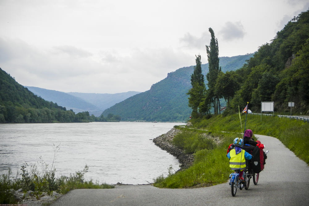 ﻿Zielstrebig. Angesichts des nassen Wetters fahren wir diesmal die unromantischere, aber kürzere Seite der Wachau.