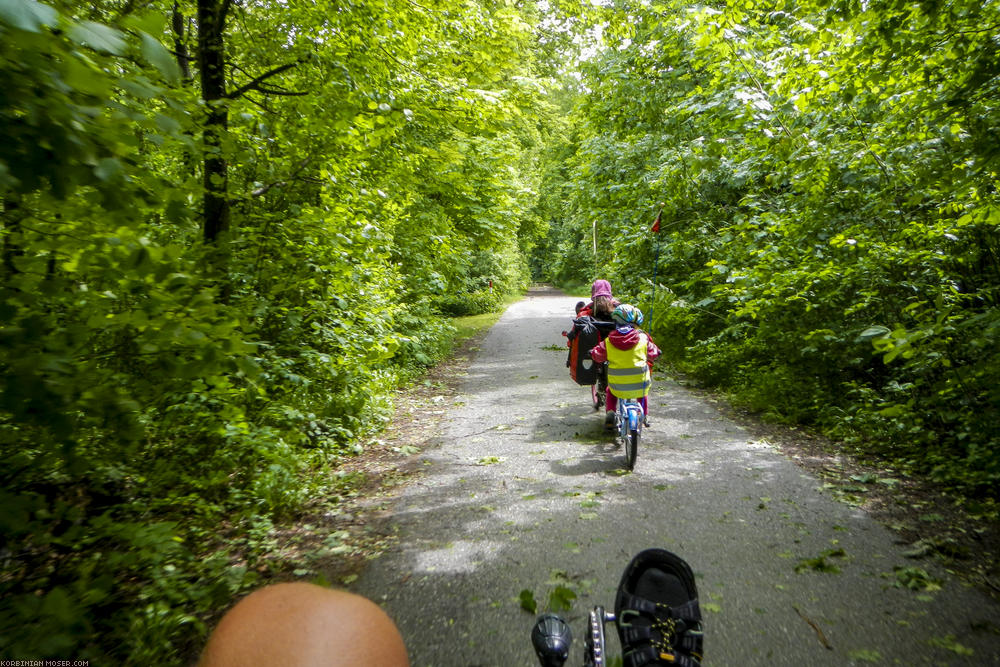 ﻿Eurovelo 9. Beschauliches Dammradeln am Wiener Neustädter Kanal.