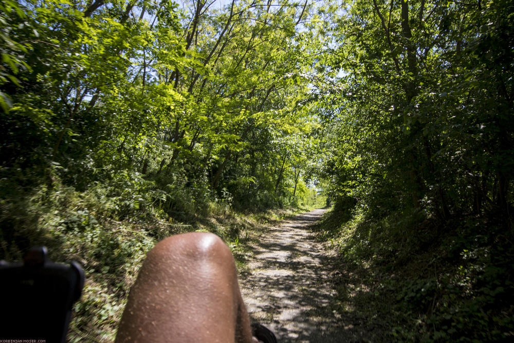 ﻿Balaton. Wir haben den Plattensee-Radwanderweg erreicht.