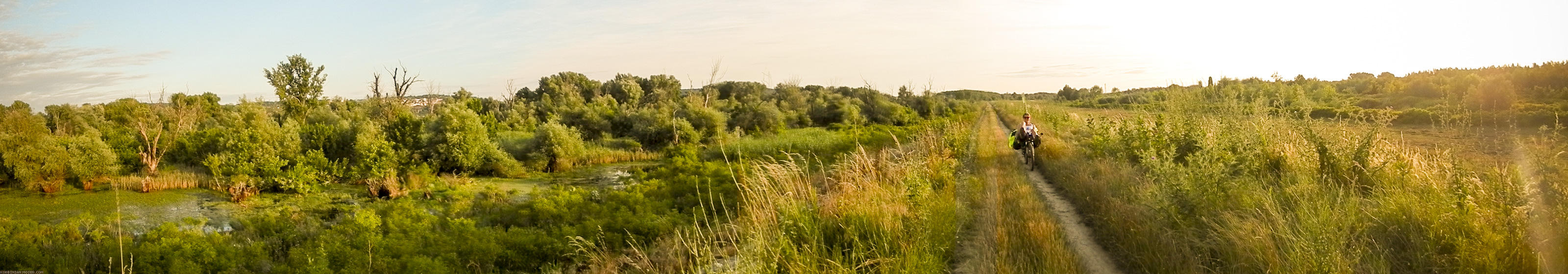 ﻿Pur Natur. Nach Überquerung einer Donau-Brücke sind wir ganz plötzlich raus aus der Stadt.