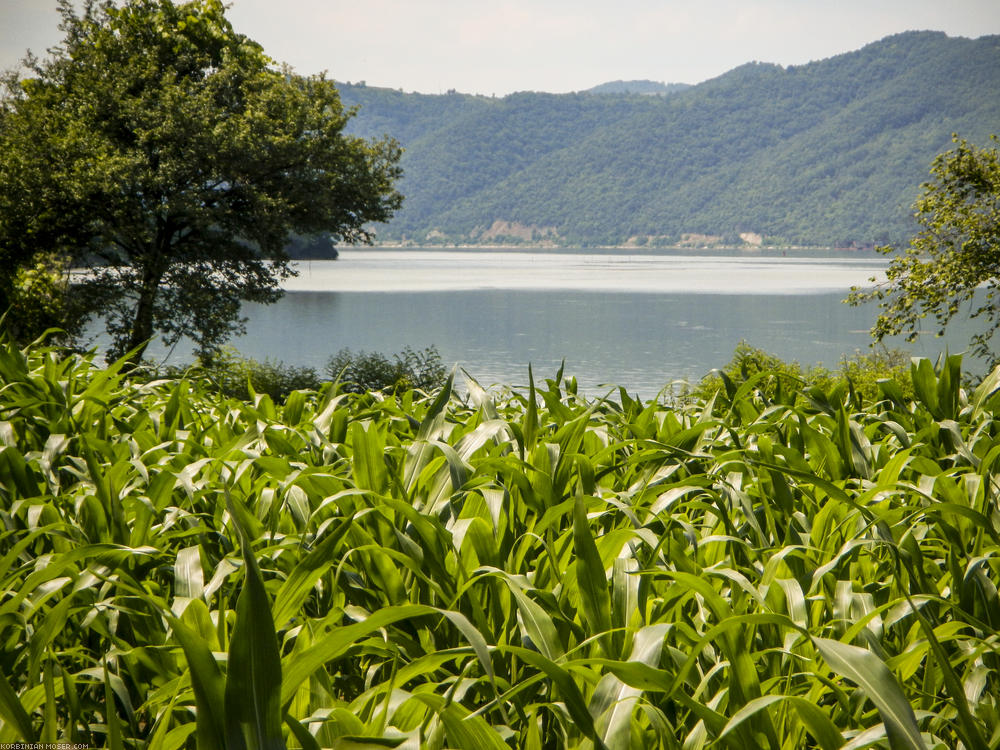 ﻿Eisernes Tor. Die Donau zwängt sich hier durch den Fels der südlichen Karpaten. Landschaftlich einer der beeindruckendsten Donau-Abschnitte.