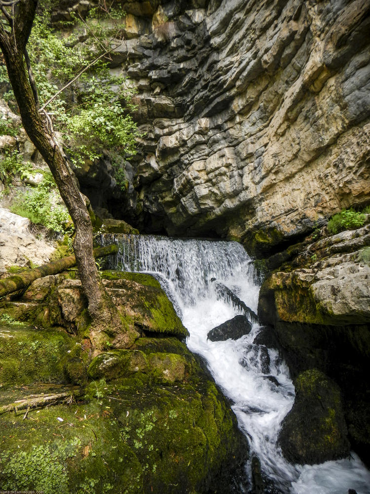 ﻿Dieses Wasser kommt  direkt aus der Felswand.