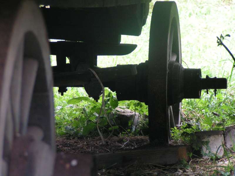 Country Life. In the Westerwald and elsewhere.