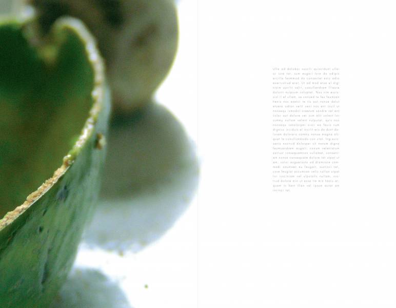 Pre Cucina. Food photography magazine.