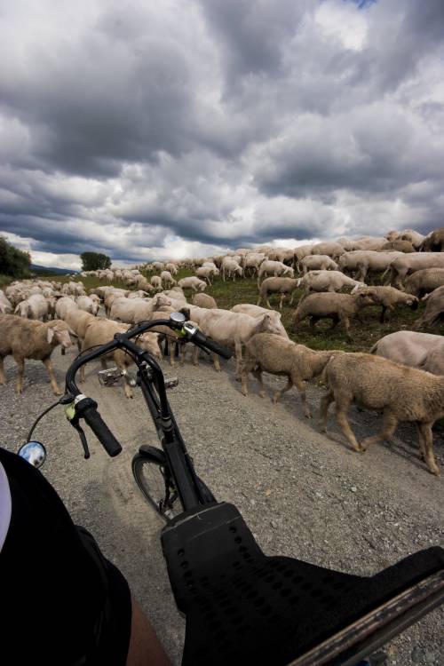 Hungary bike tour. 2400 km to lake Balaton and back, summer 2009