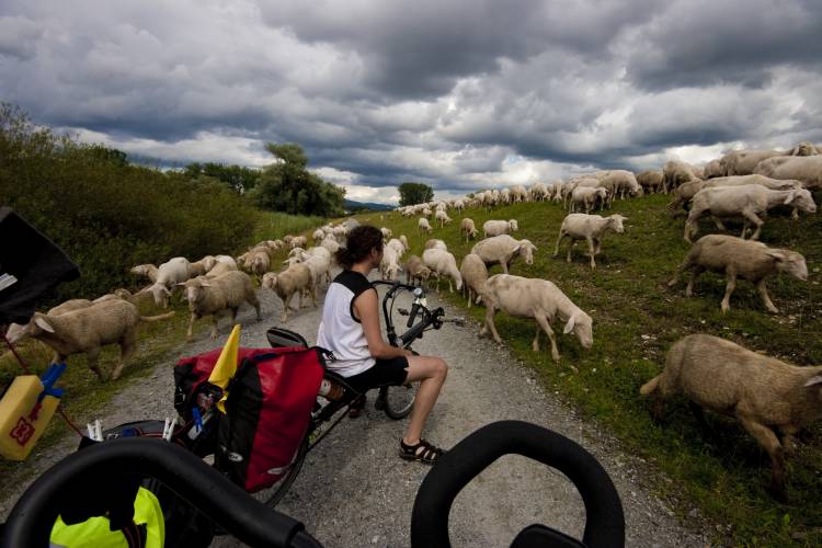 Hungary bike tour. 2400 km to lake Balaton and back, summer 2009