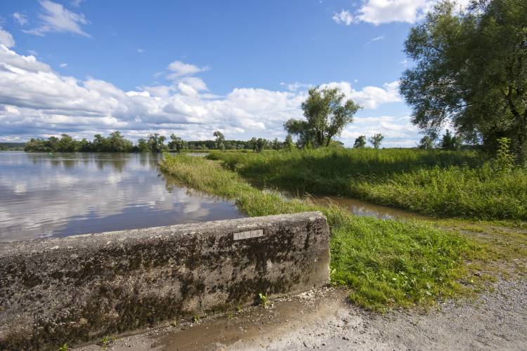 Hungary bike tour. 2400 km to lake Balaton and back, summer 2009