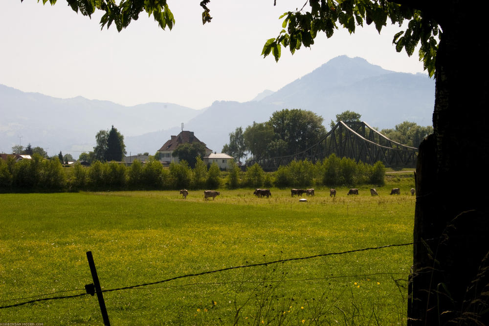 ﻿Mountain's calling. The Bodensee is behind us, the mountains start getting bigger and bigger.