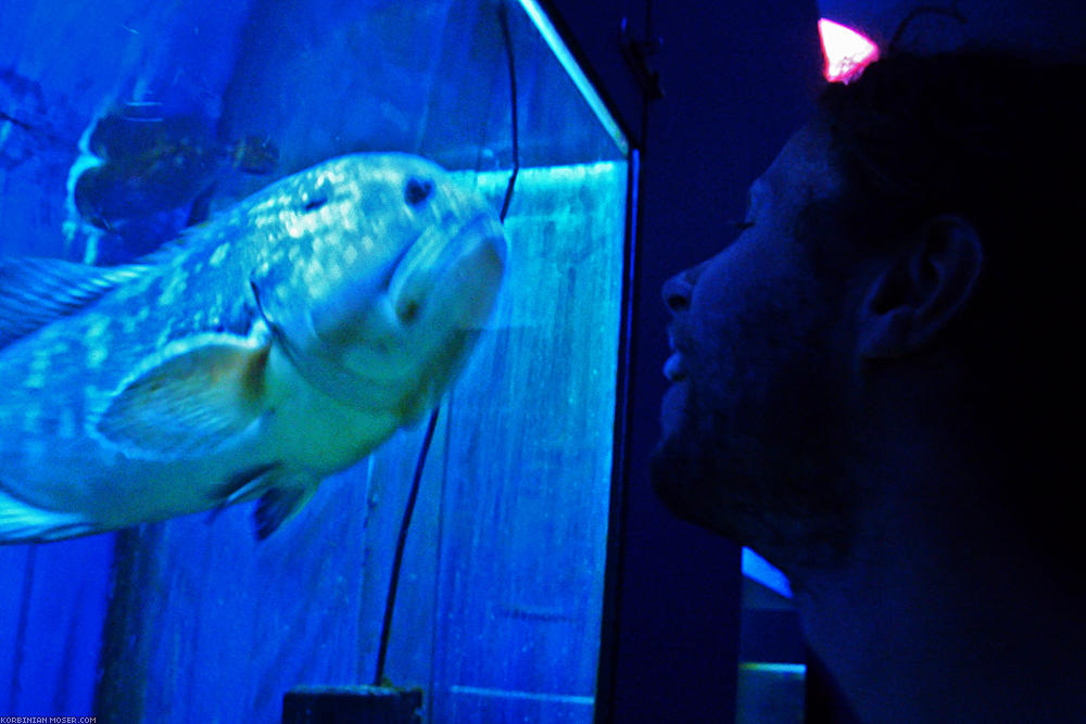 ﻿Poreč. An intense eye contact between fish and Korbinian.