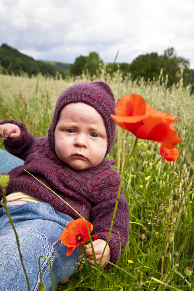 ﻿Mona. On Poppy.