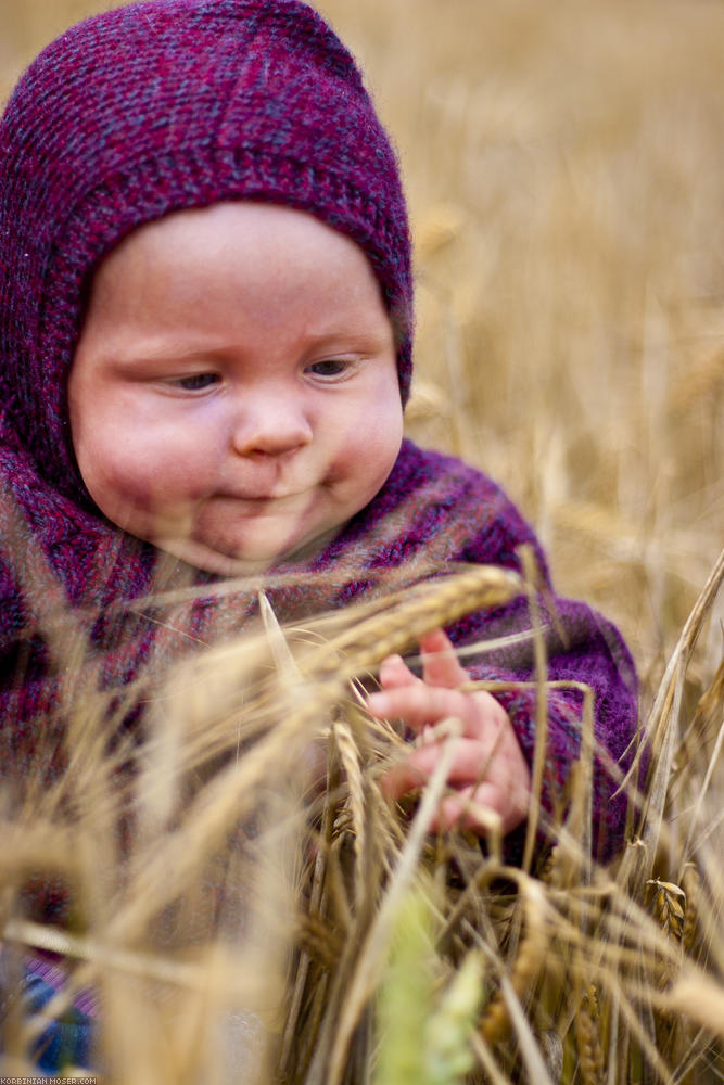 ﻿Mona. In the corn field.