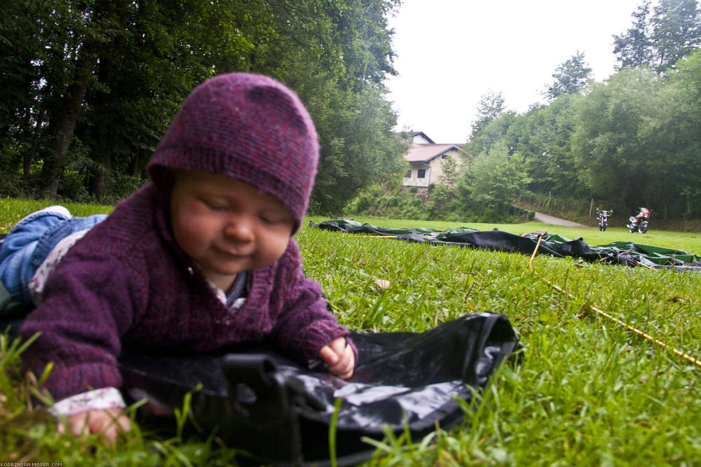 ﻿Mona helps packing and does her botanic research.