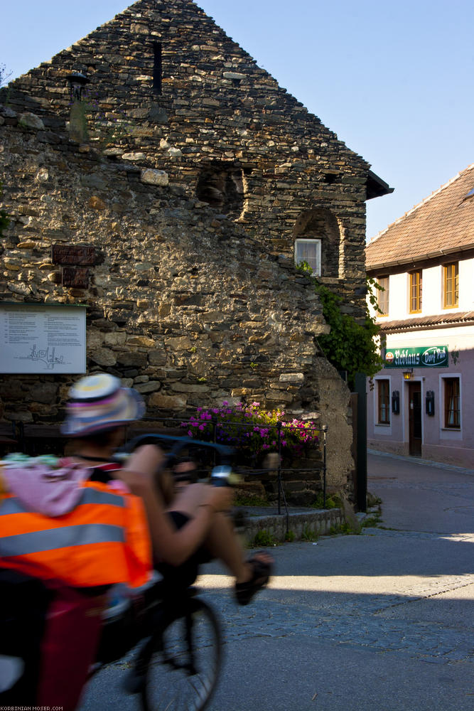 ﻿The Wachau. Beautiful landscape, old wine villages and lots of apricots.