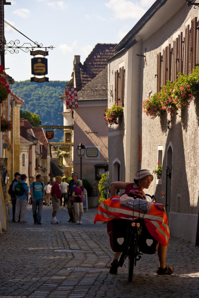 ﻿The Wachau. Beautiful landscape, old wine villages and lots of apricots.