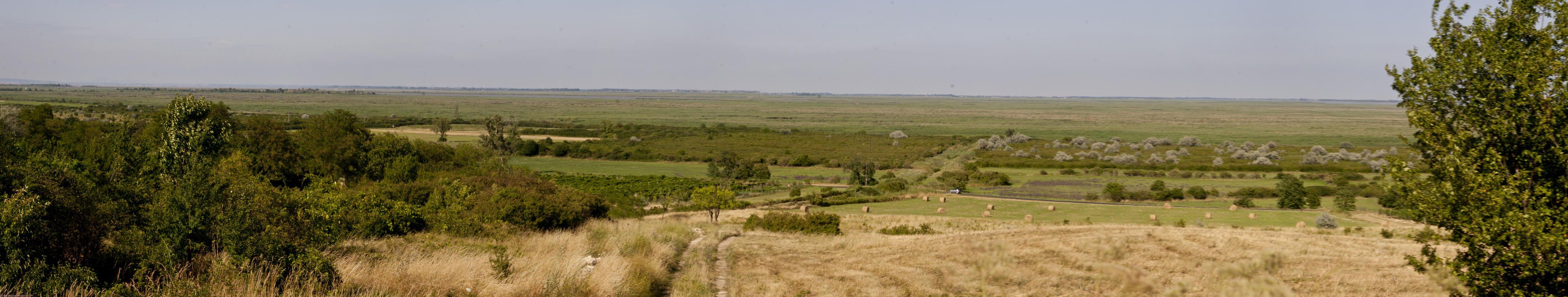 ﻿Reed sea. In front of us the Neusiedl lake, that is invisible in its kilometer-wide reed surrounding.