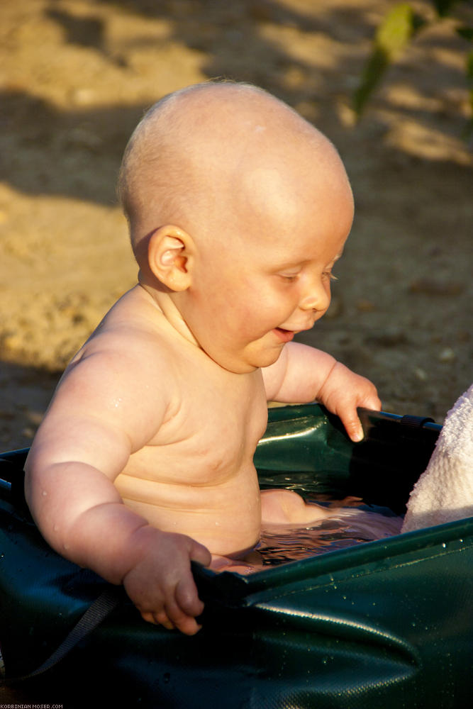 ﻿The daily bathing. Mona enjoys it.