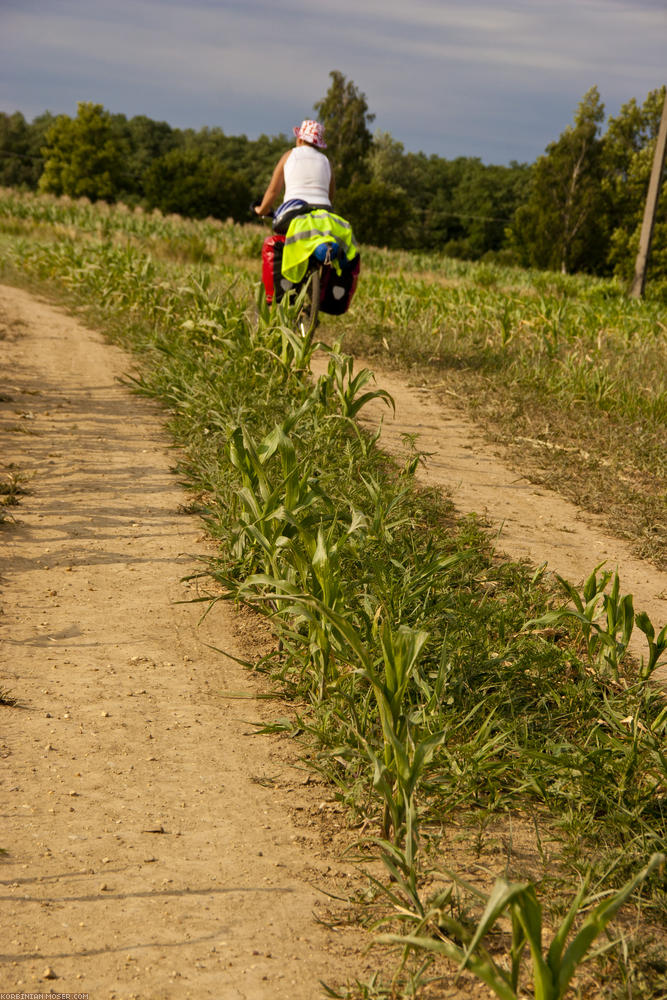 ﻿Bike paths in Ungarn. That one here is also used as a corn field.