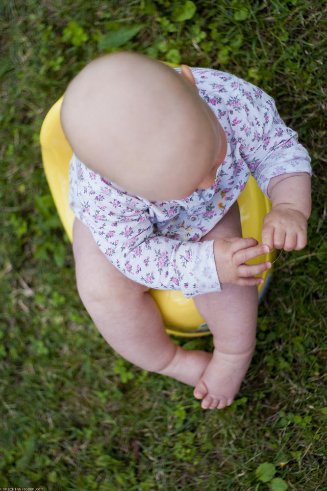 ﻿New discovery. Mona already knows how to use the potty.