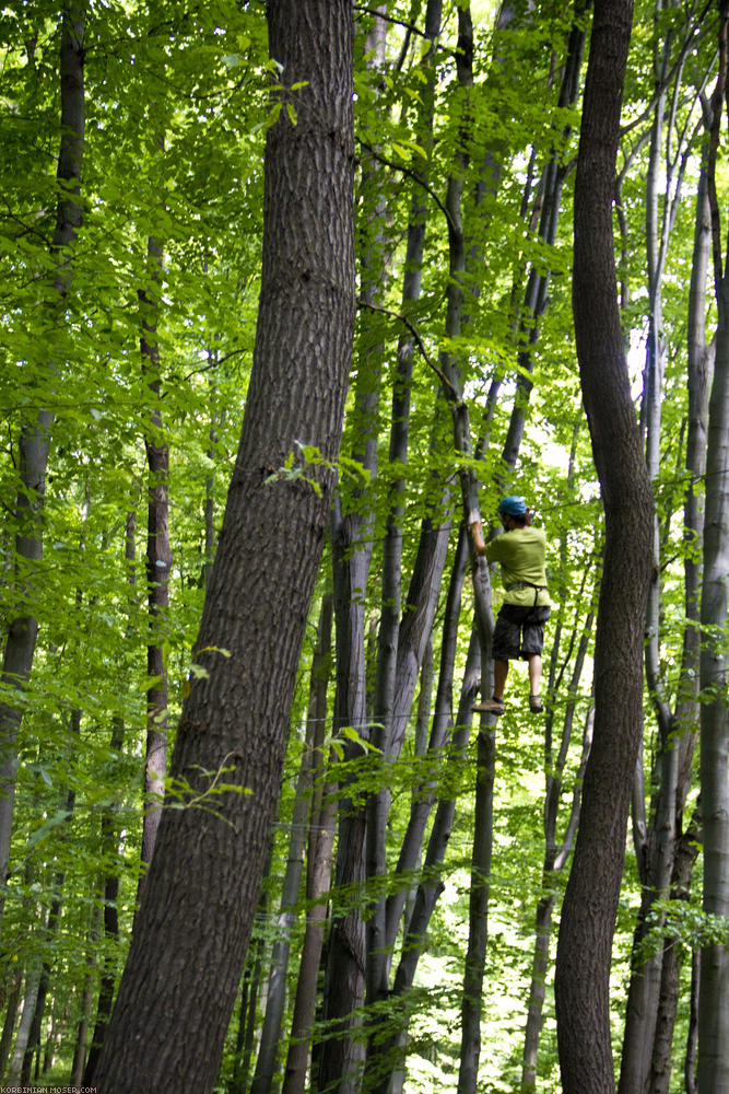 ﻿Mecsextrem. There are great climbing parcours through the wood.