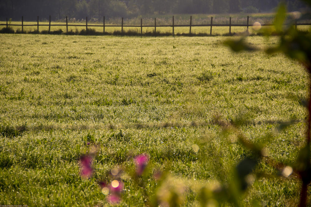 ﻿Morning dew. That's why we have to raise our tent two times each day.