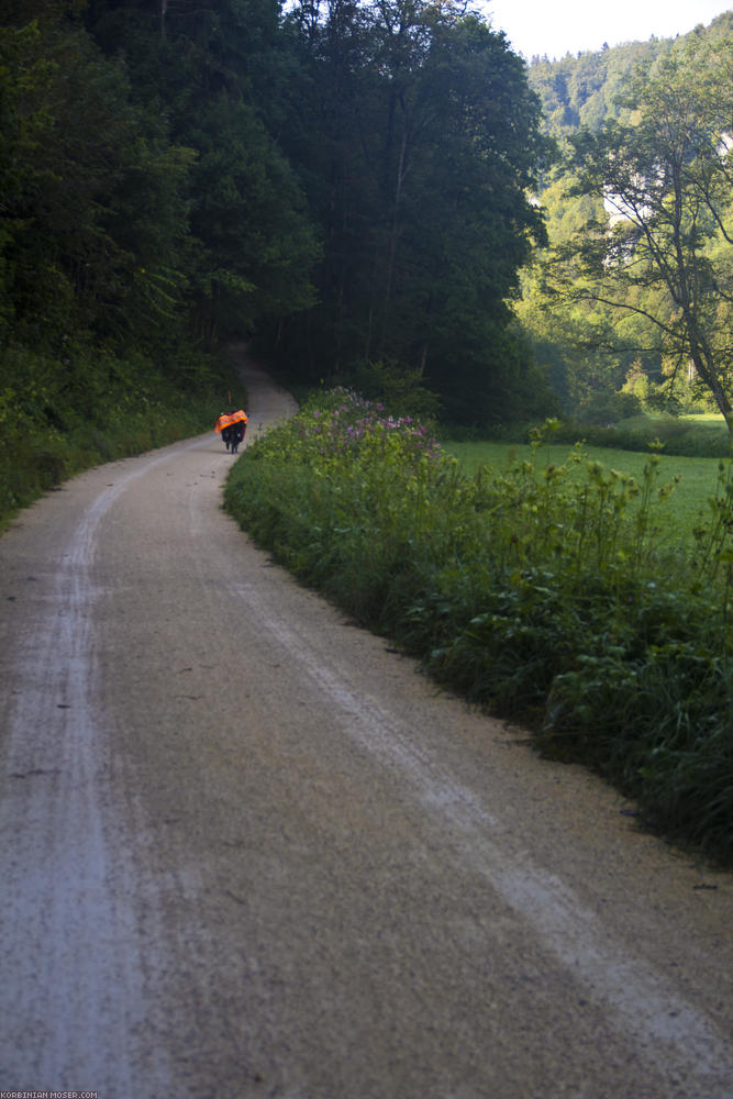 ﻿Up'n'down. The upper Danube valley is hilly.